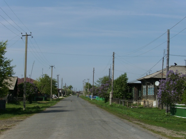 Деревня косулино курганская область