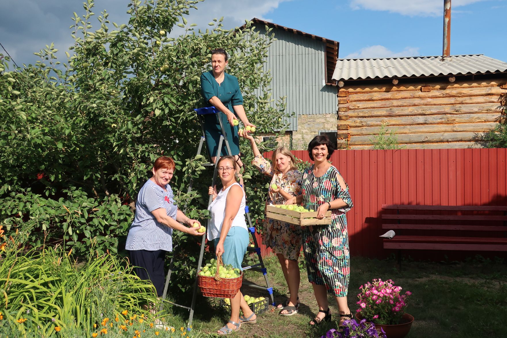 Приходите, угощайтесь яблоками! | 18.08.2022 | Куртамыш - БезФормата